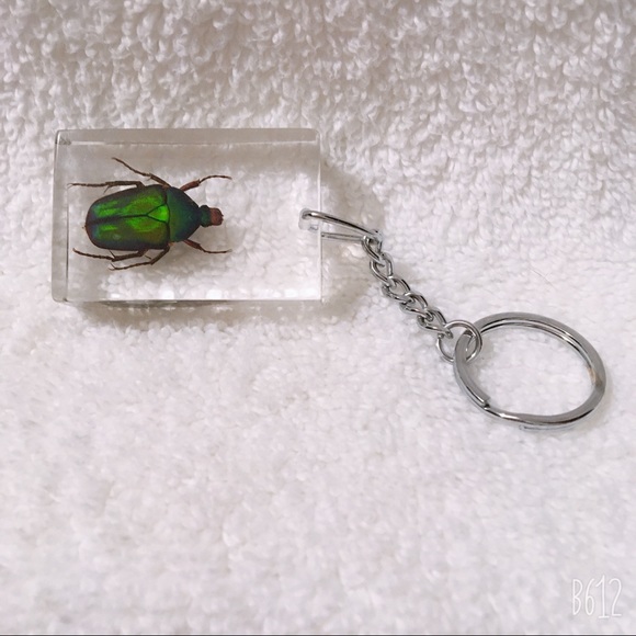 Unsigned Accessories - Real Japanese Beetle Lucite Encased Key Chain NEW